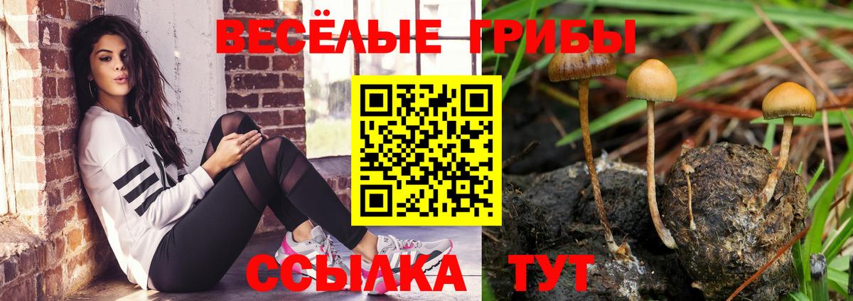 Псилоцибиновые грибы MAGIC MUSHROOMS Кызыл