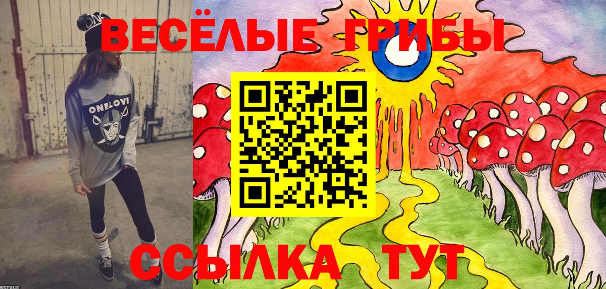 Псилоцибиновые грибы Psilocybe  Вход с VPN  Псилоцибиновые грибы Psilocybe  Кызыл 